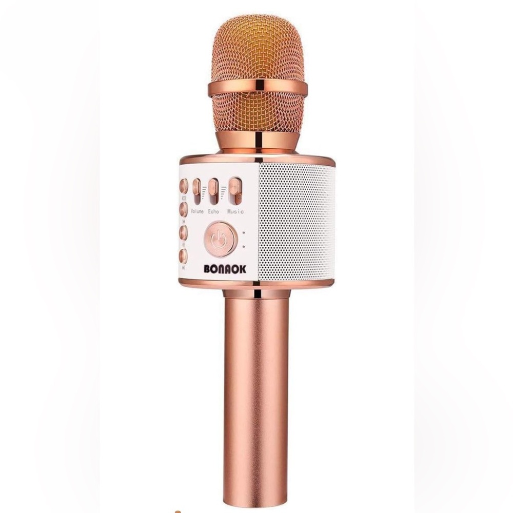 Karaoke Microphone